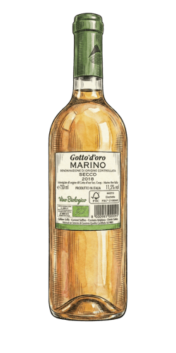 GOTTO D'ORO — Marino DOC Secco Bio 2018